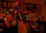 P1011505 (1024x768).jpg (79119 bytes)